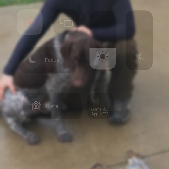 Meet your Posher, - Picture 1 of 1